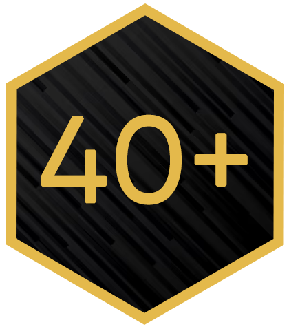 Badge 2